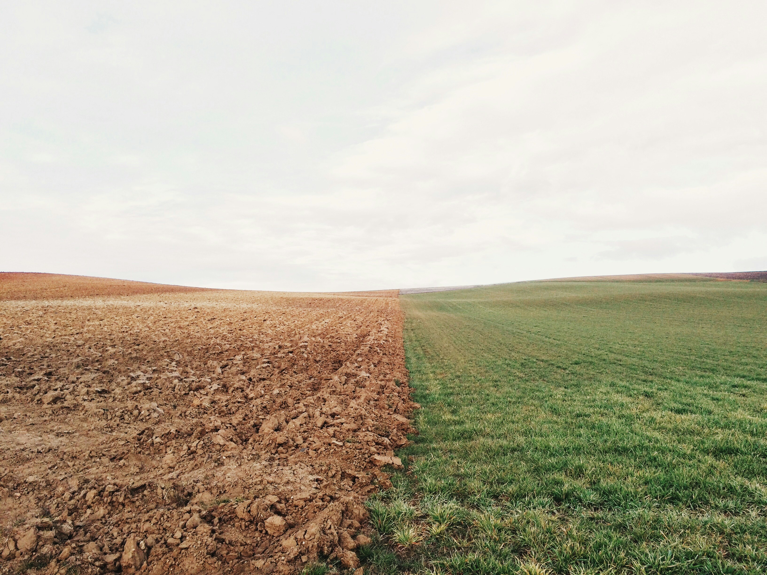 green grass field and brown soil